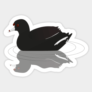 An American coot or mud hen Sticker